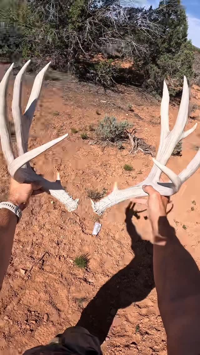 Post 6 by Travis Shoell on Instagram (video)