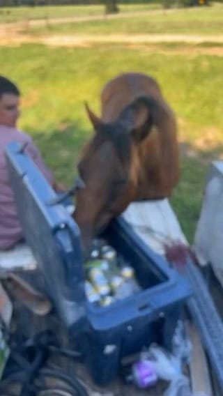 Post 3 by Horse rider community🇺🇸🇺🇸🇺🇸 on Instagram (video)