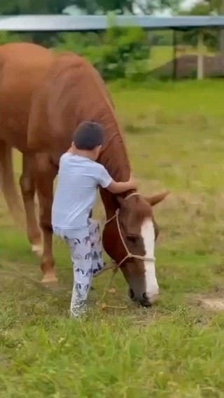 Post 6 by Horse rider community🇺🇸🇺🇸🇺🇸 on Instagram (video)