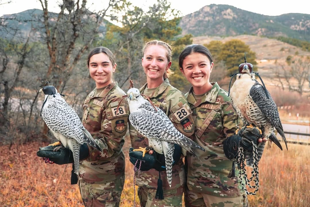 Post 4 by USAFA Falconry on Instagram (carousel)