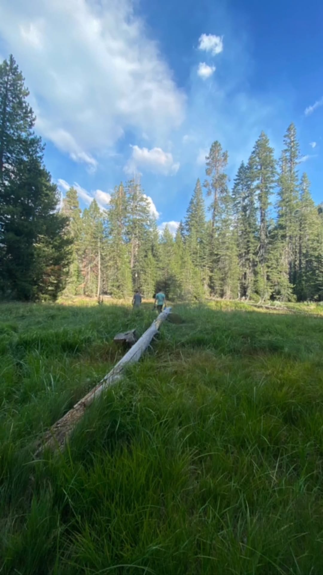 Post 8 by David Ardelian on Instagram (video)