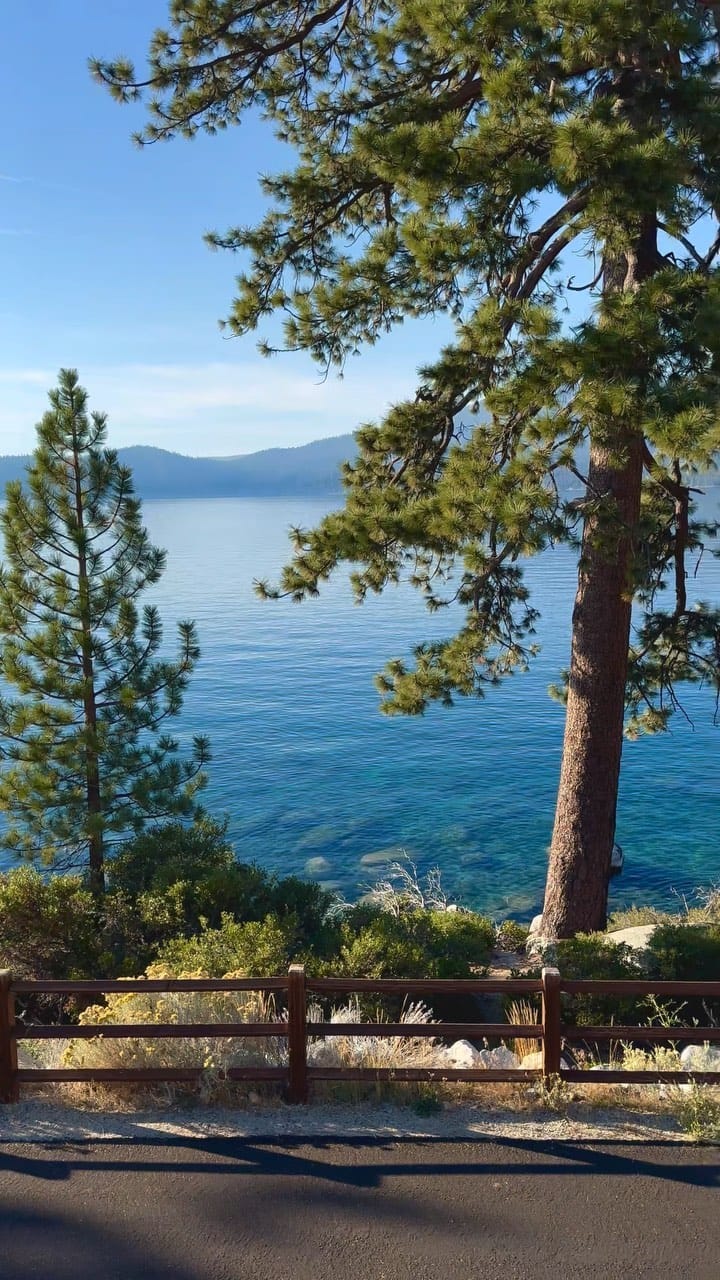 Post 4 by David Ardelian on Instagram (video)