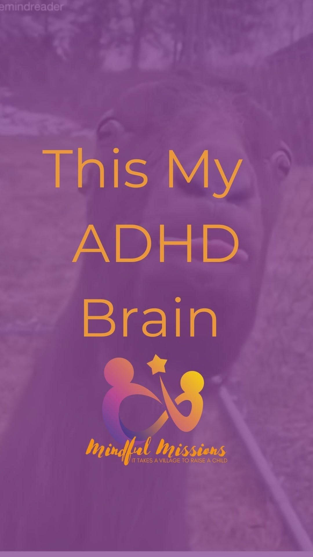 Post 3 by Mindful Missions of America on Instagram (video)
