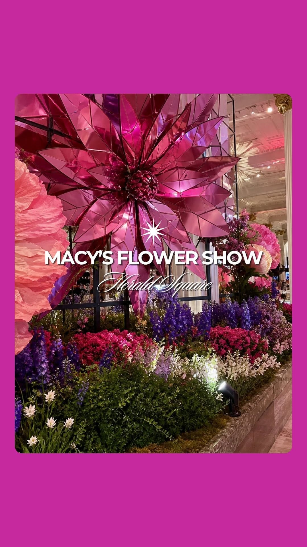 Post 7 by MAD Tours & Events on Instagram (video)