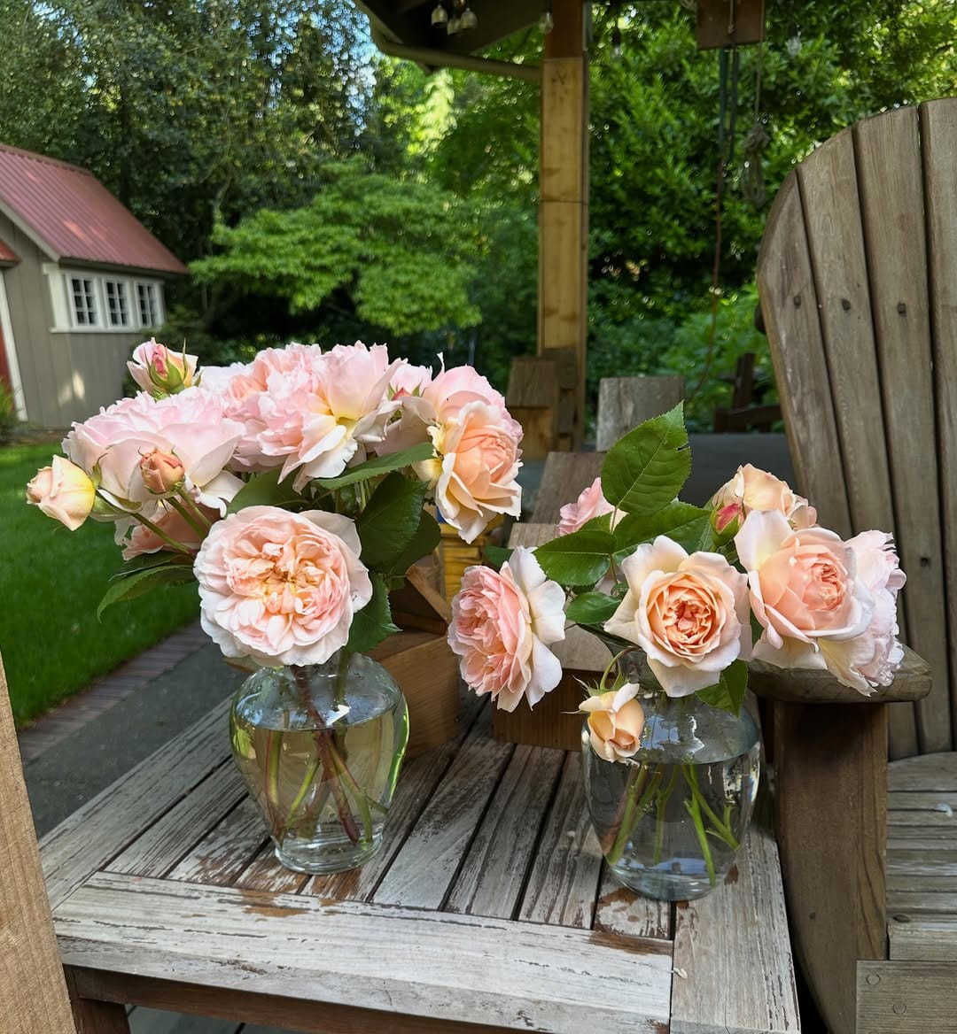 Post 3 by betsy bensen on Instagram (image)
