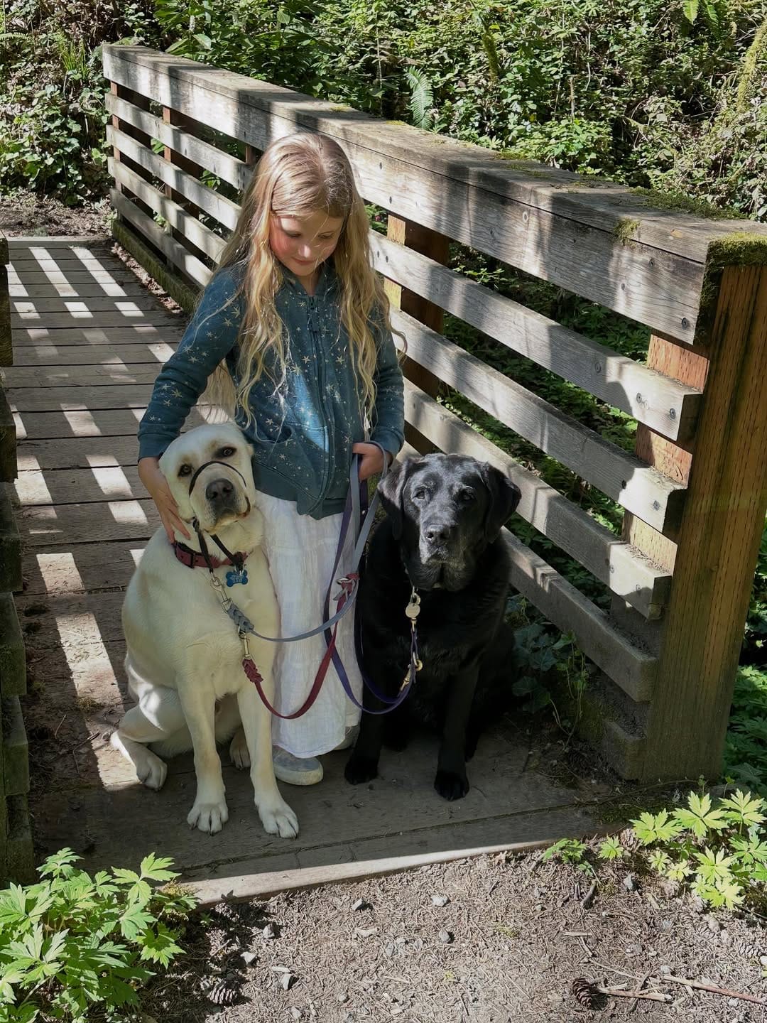 Post 10 by betsy bensen on Instagram (image)