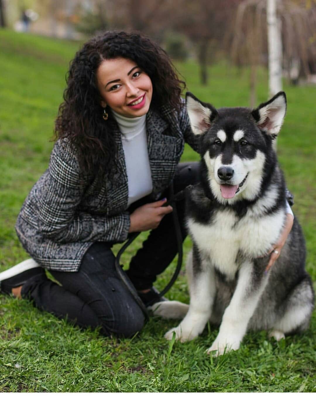 Post 2 by 🔹ALASKAN MALAMUTE🔹 on Instagram (image)
