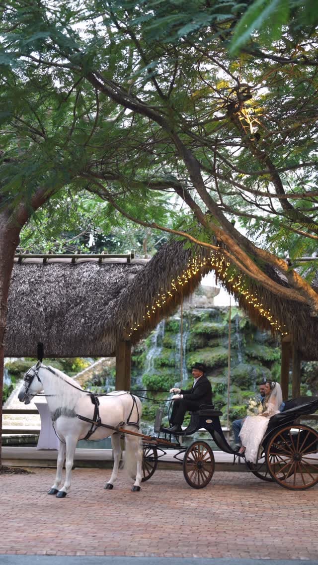 Post 3 by The Barn 305 | Miami Wedding Venue on Instagram (video)