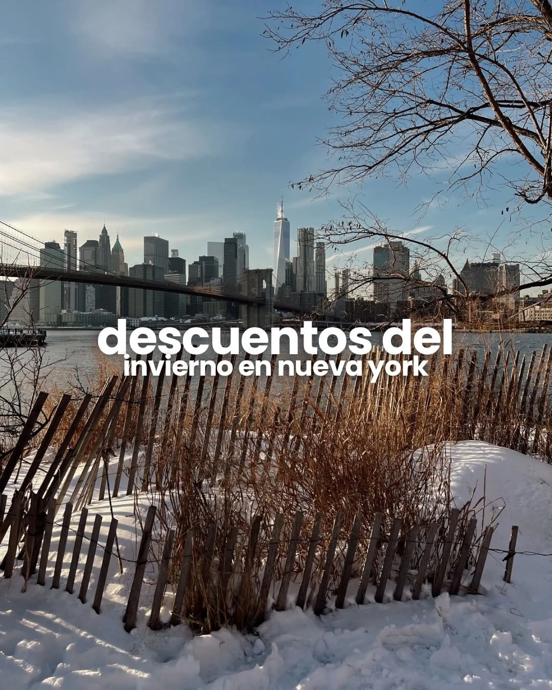 Post 7 by Cami en NYC | Tips & Guías para Nueva York | 🇦🇷🇺🇸 on Instagram (carousel)