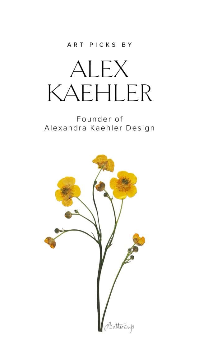 Post 2 by Alexandra Kaehler Design on Instagram (video)