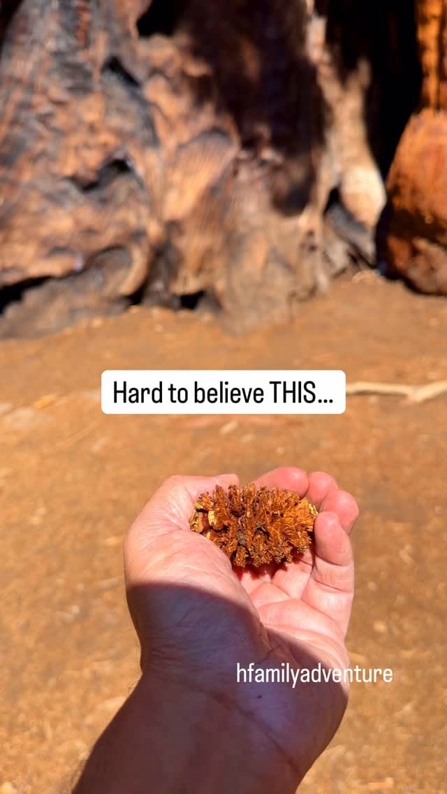 Post 4 by Mike Herrera | California & Beyond Family Adventure on Instagram (video)