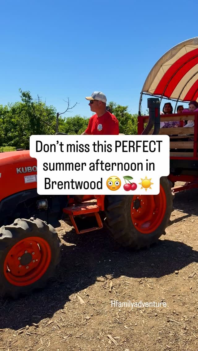 Post 6 by Mike Herrera | California & Beyond Family Adventure on Instagram (video)