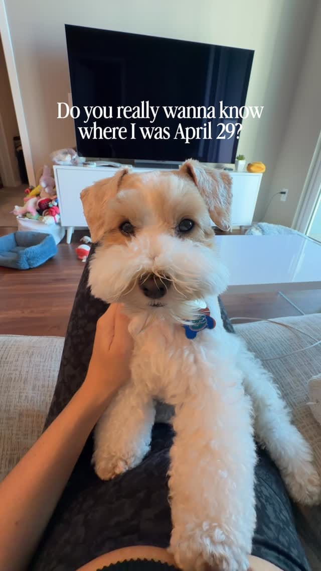 Post 5 by Alfie and Fritz on Instagram (video)