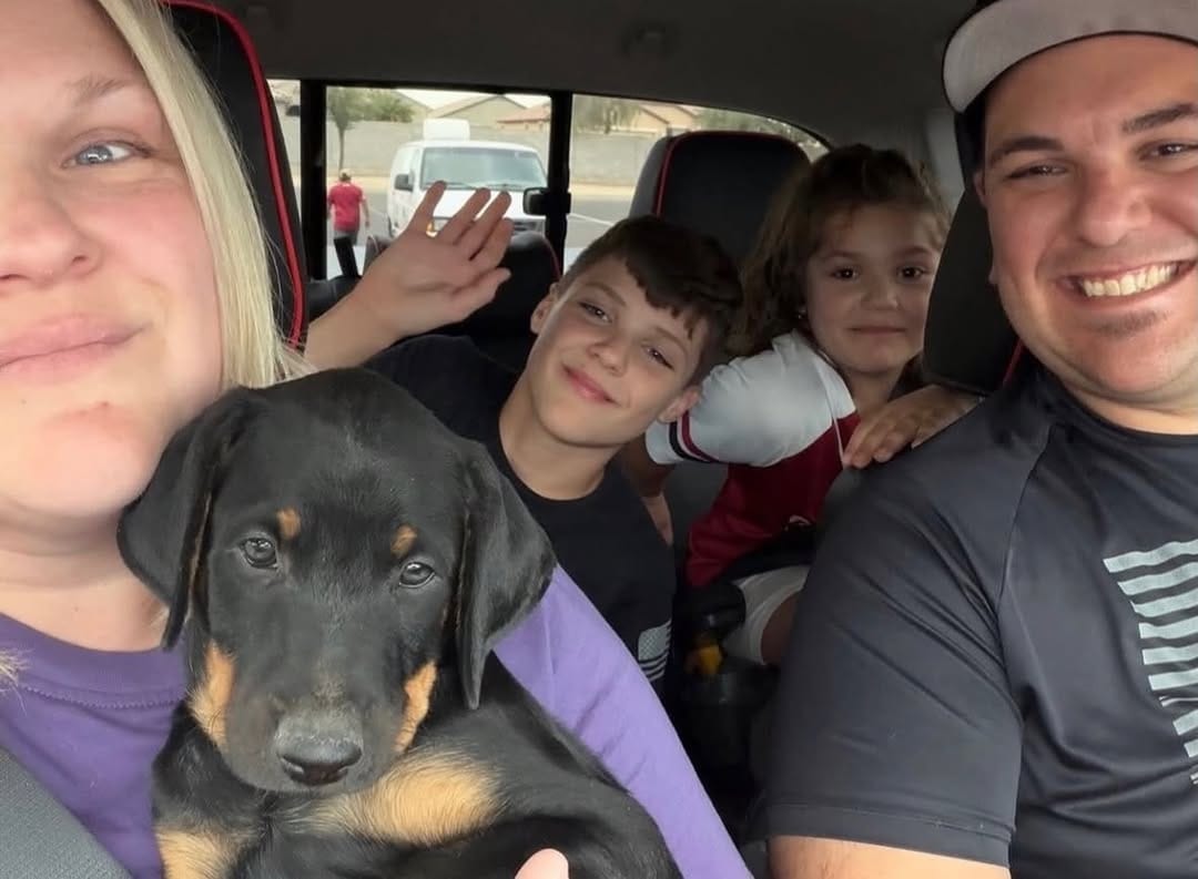 Post 9 by Desert Harbor Doberman Rescue on Instagram (image)