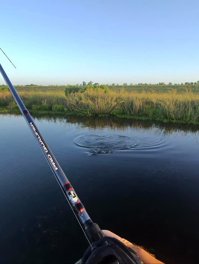 Post 9 by Structure Line Bullies on Instagram (video)