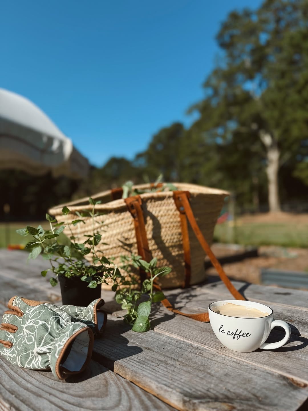 Post 5 by Amy Arbogast | Vintage + Home on Instagram (image)