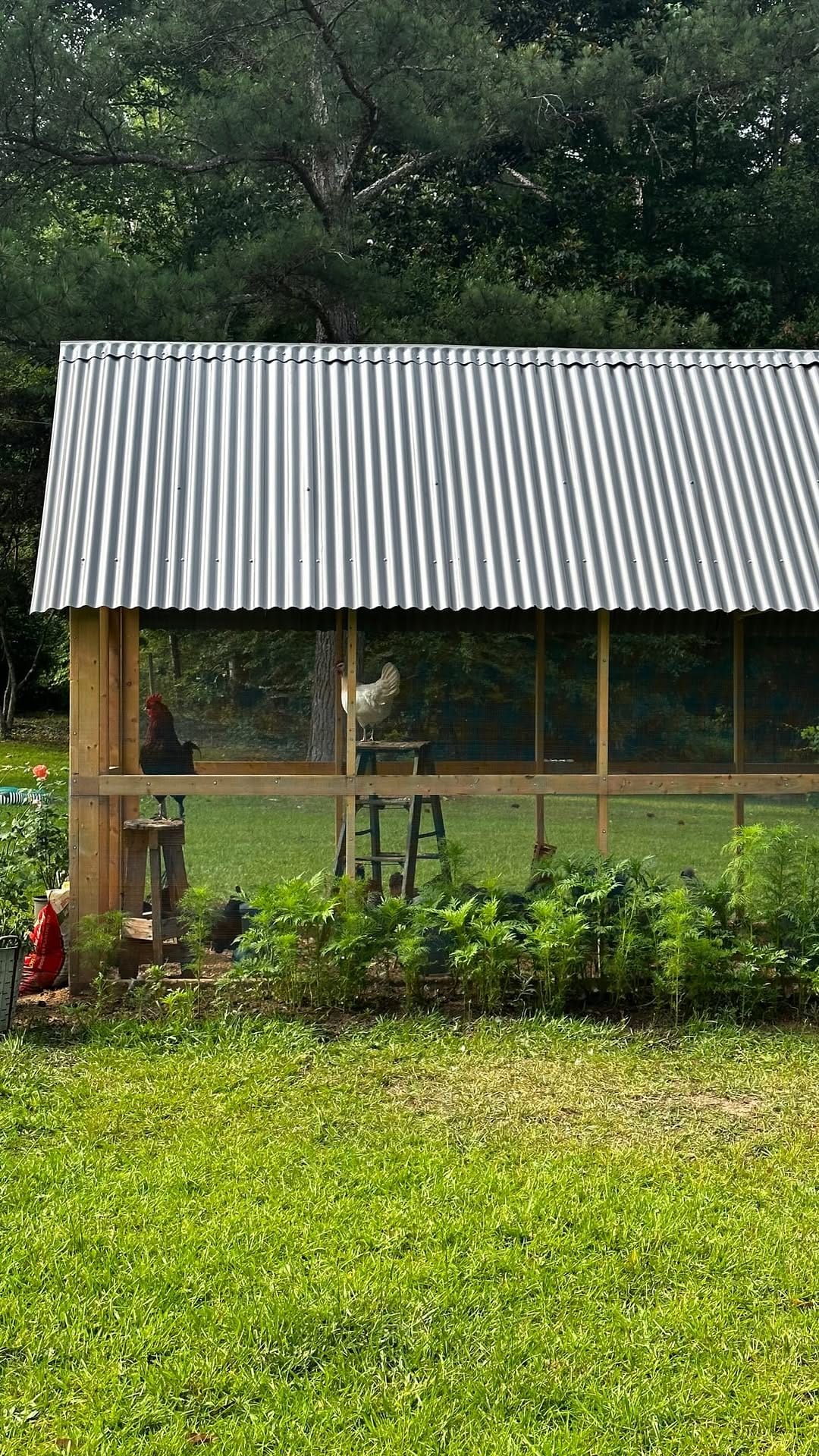 Post 3 by Amy Arbogast | Vintage + Home on Instagram (video)