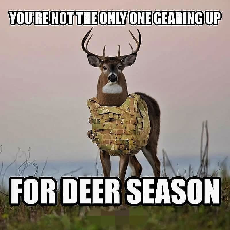 Post 2 by @southernhuntfl on Instagram (image)