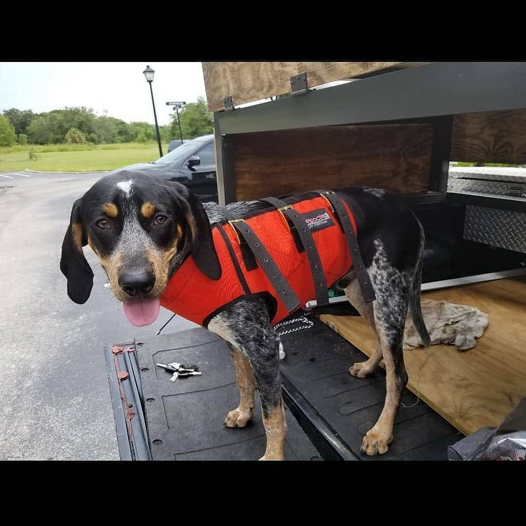 Post 7 by @southernhuntfl on Instagram (image)