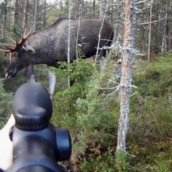 Post 9 by @southernhuntfl on Instagram (image)