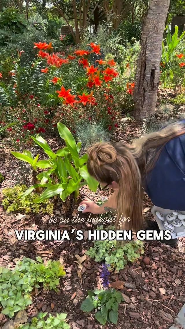 Post 6 by Hutson Alley on Instagram (video)