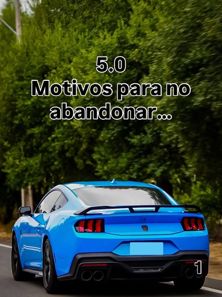 Post 6 by AMERICAN MUSTANG CLUB on Instagram (carousel)