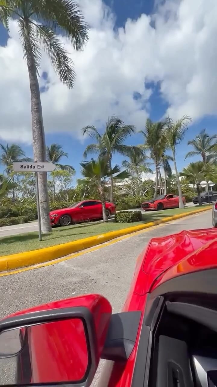 Post 3 by AMERICAN MUSTANG CLUB on Instagram (video)