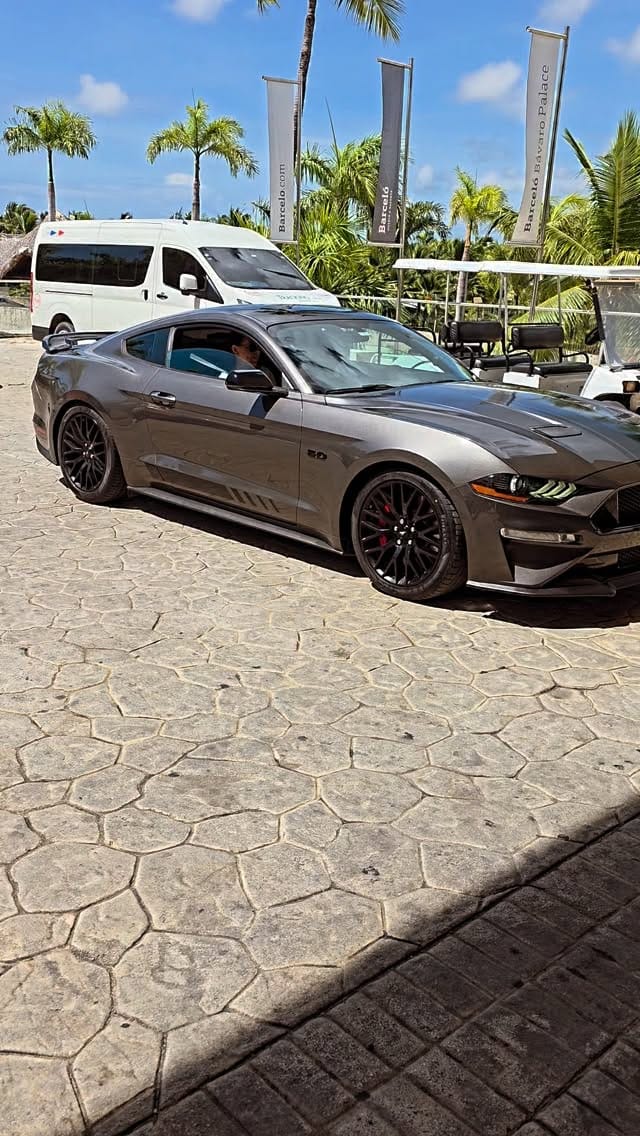Post 2 by AMERICAN MUSTANG CLUB on Instagram (video)