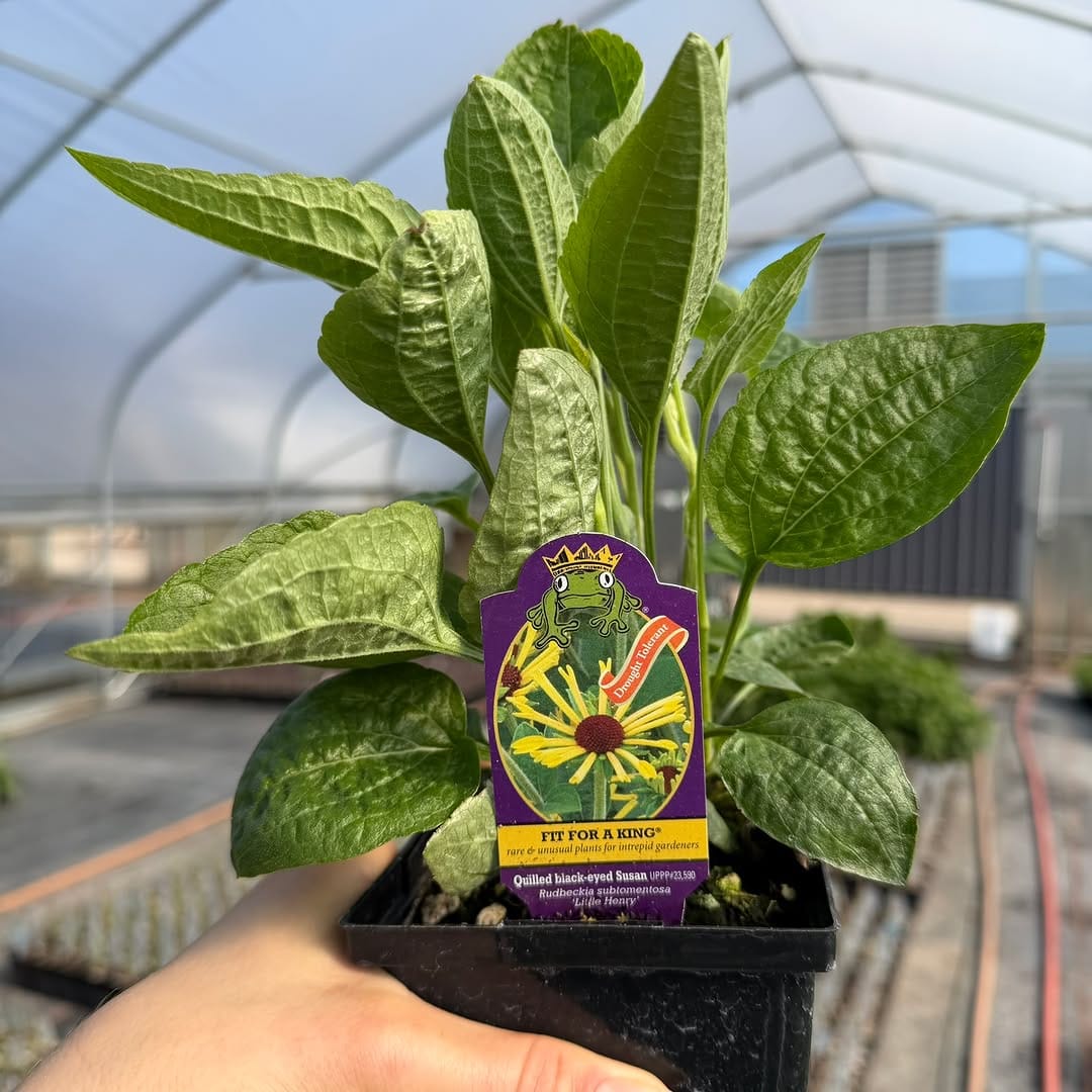 Post 1 by Wholesale Grower on Instagram (carousel)