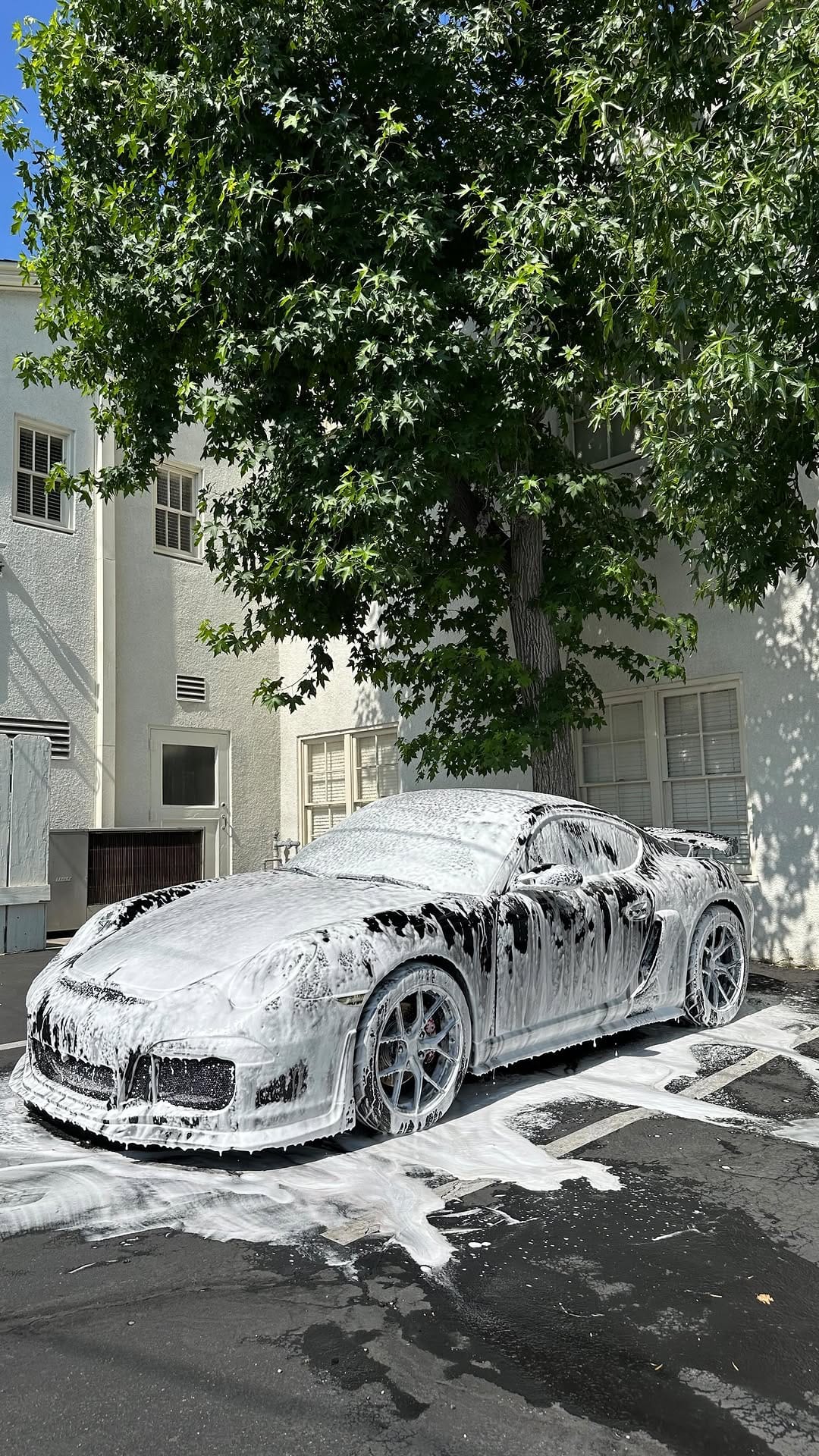 Post 3 by Auto Detailing By Elements on Instagram (video)