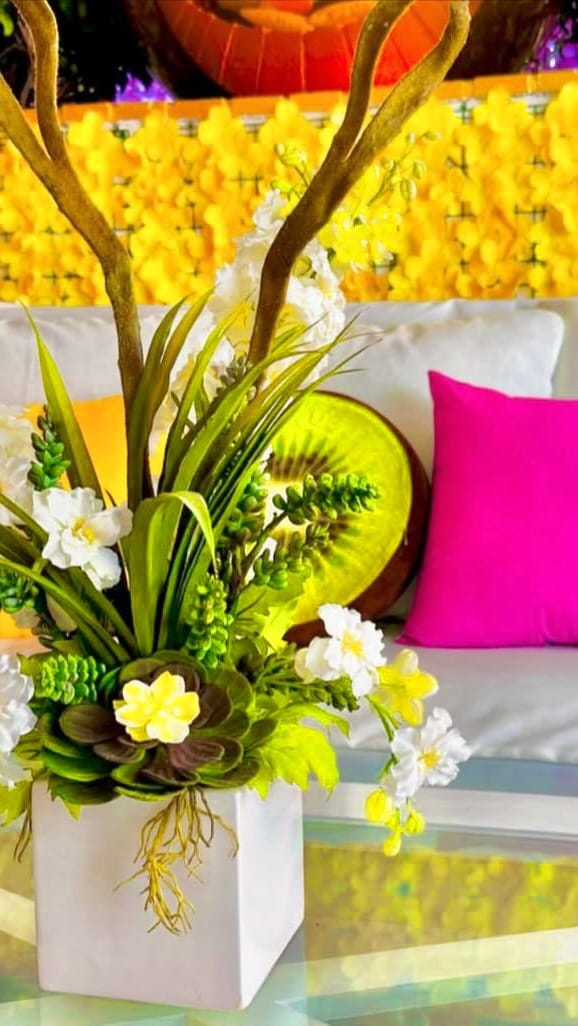 Post 4 by Skincare & Facials | Vegan Day Spa on Instagram (video)