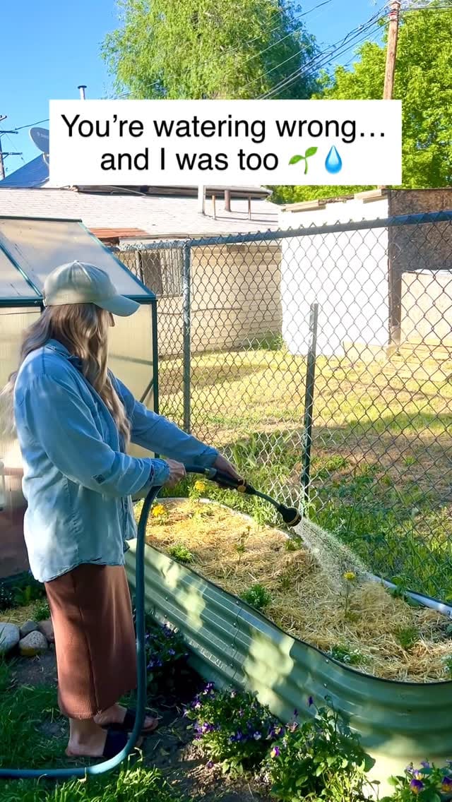Post 3 by Rebecca|Theeastergardener on Instagram (video)