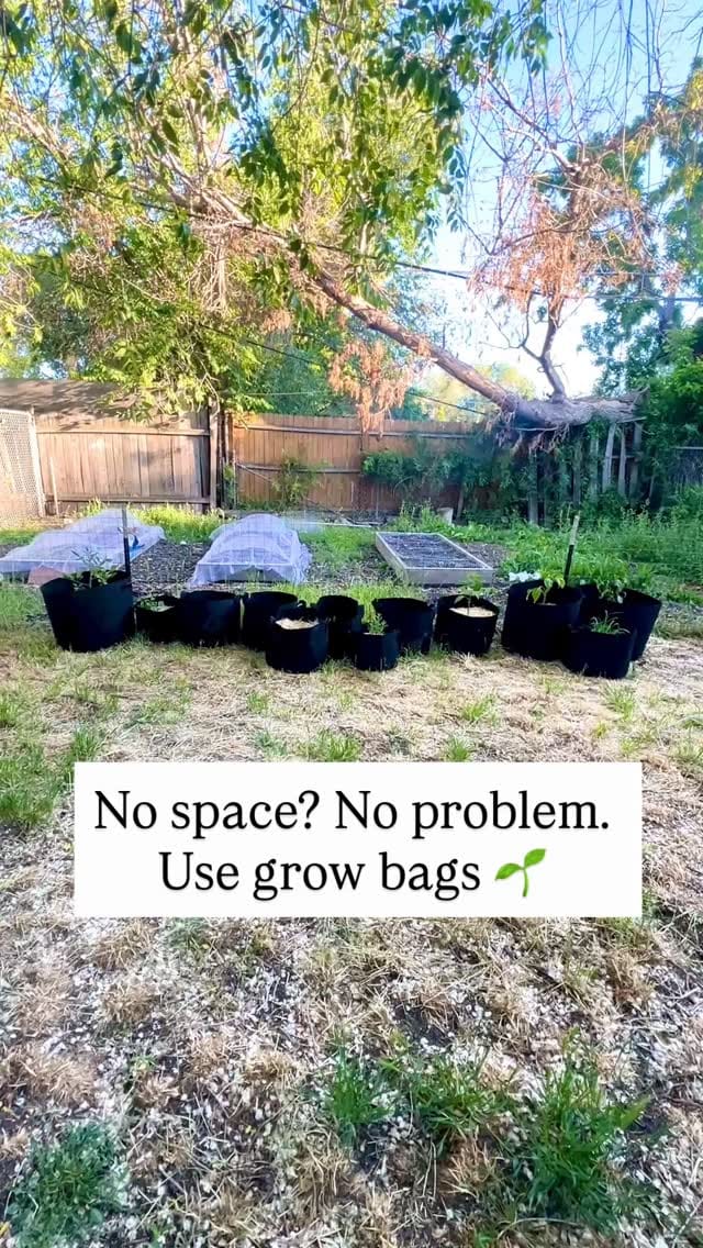 Post 9 by Rebecca|Theeastergardener on Instagram (video)