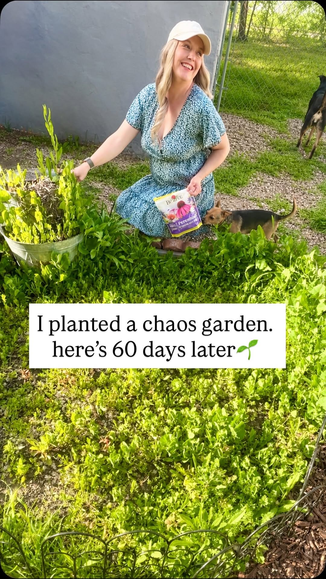 Post 10 by Rebecca|Theeastergardener on Instagram (video)