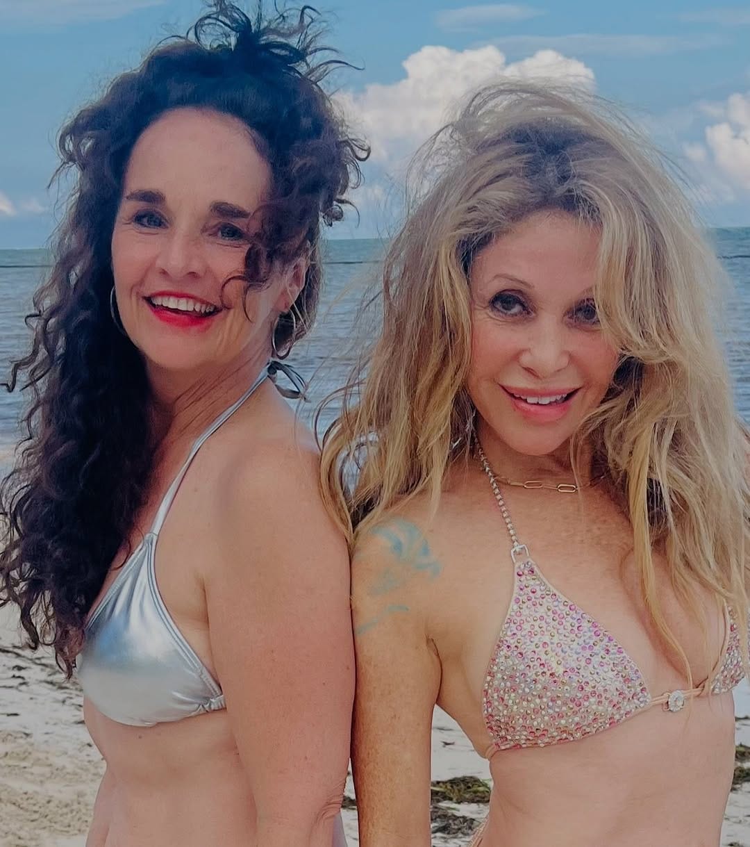 Post 2 by Diane Franklin on Instagram (carousel)