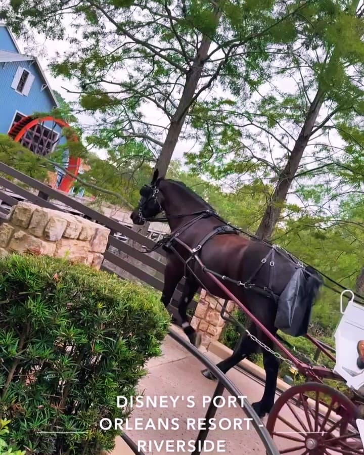 Post 8 by Antonio on Instagram (carousel)