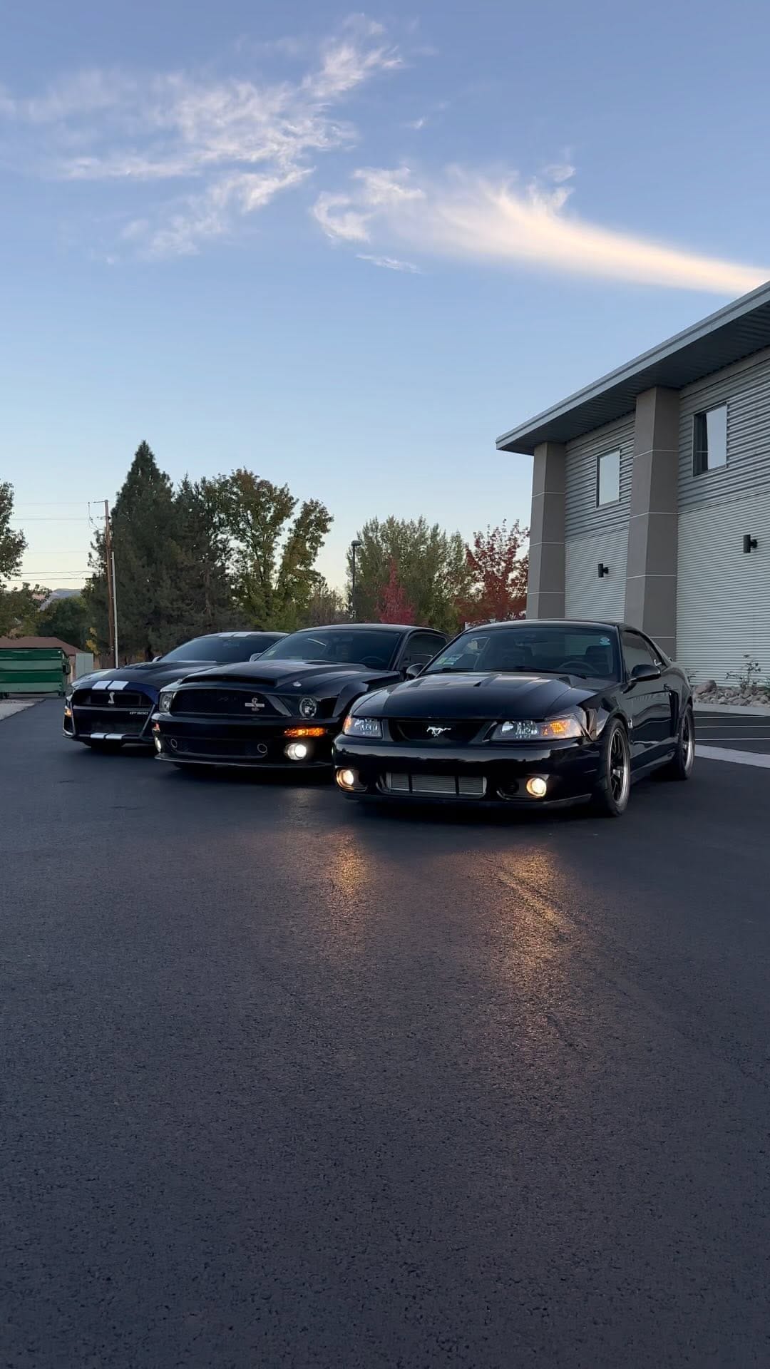 Post 8 by Muscle Motors Auto Sales on Instagram (video)