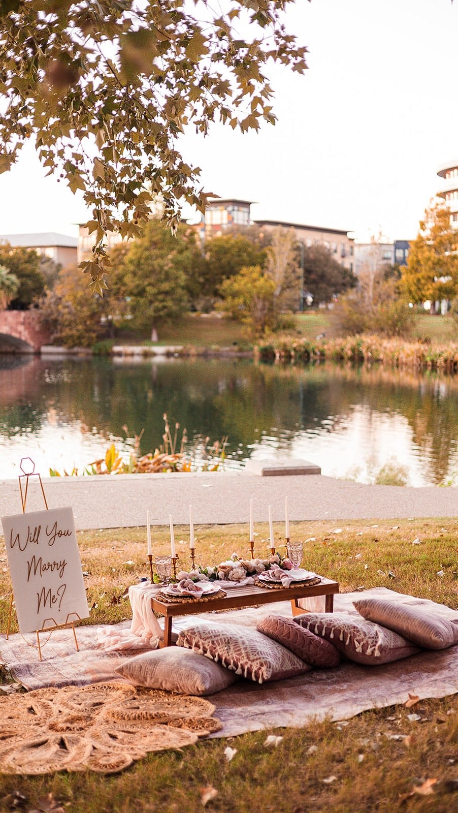 Post 10 by THE POSH PICNIC ATX | LUXURY PICNICS & PROPOSALS on Instagram (video)