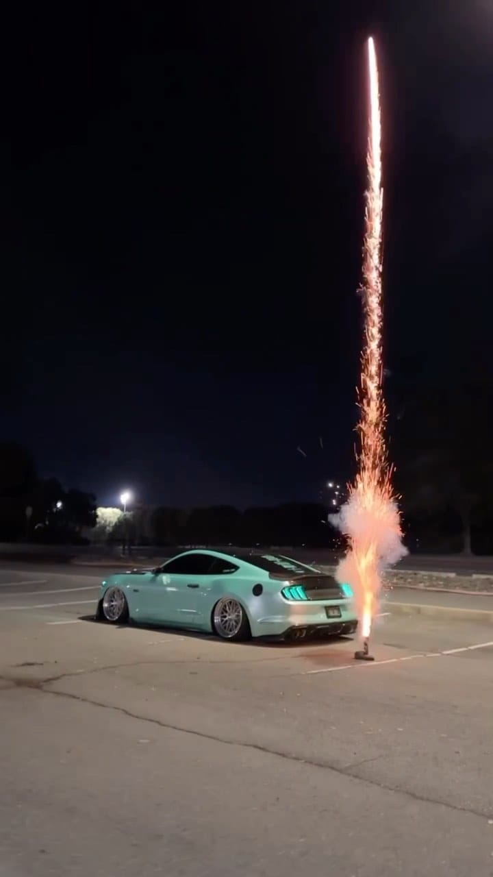 Post 10 by Darren Turtle🐢 on Instagram (video)