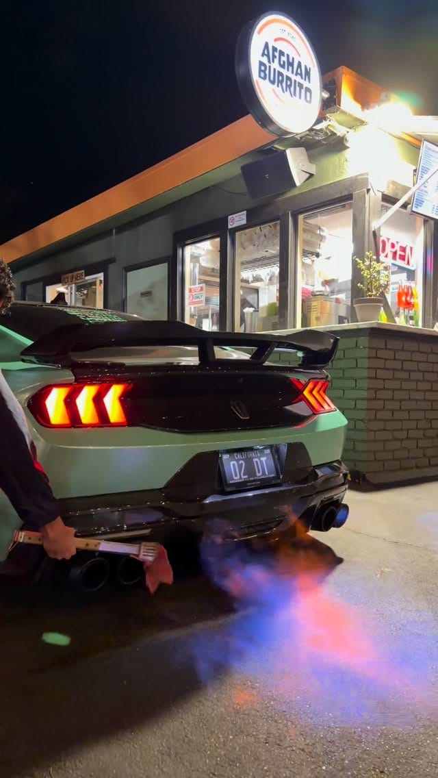 Post 3 by Darren Turtle🐢 on Instagram (video)