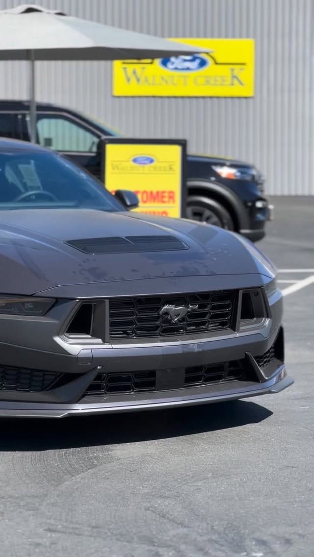 Post 1 by Darren Turtle🐢 on Instagram (video)