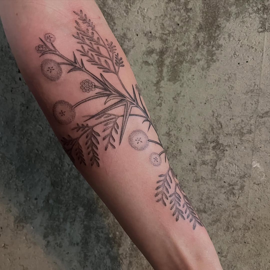 Post 1 by 𝙱𝚛𝚒𝚊𝚗𝚗𝚊 𝙱𝚎𝚕𝚘𝚗𝚐 on Instagram (carousel)