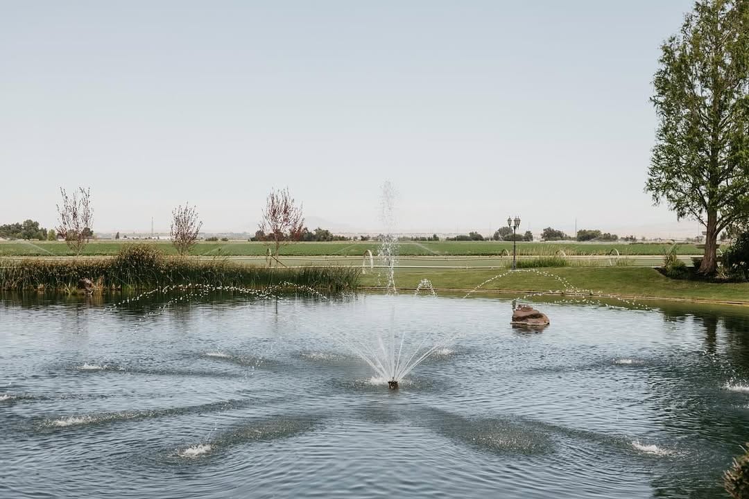 Post 8 by Still Water Hollow on Instagram (image)