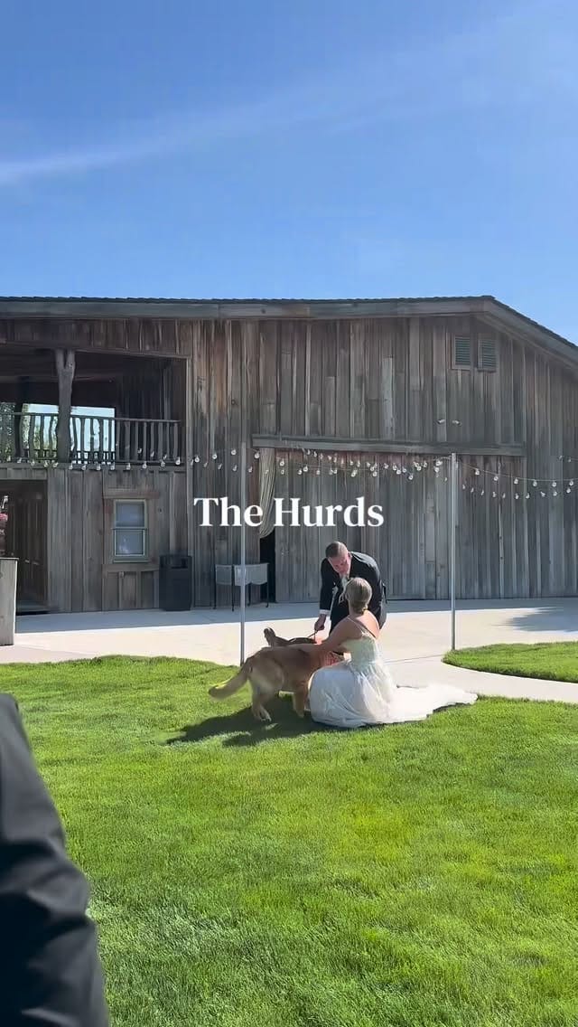 Post 3 by Still Water Hollow on Instagram (video)