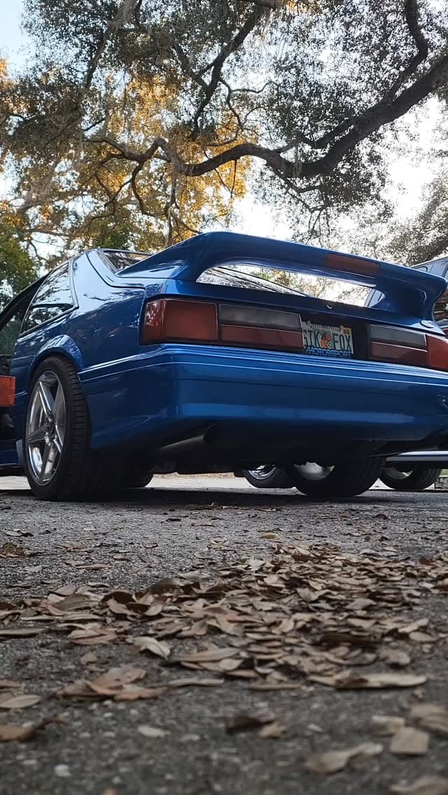 Post 8 by Blake McLane on Instagram (video)