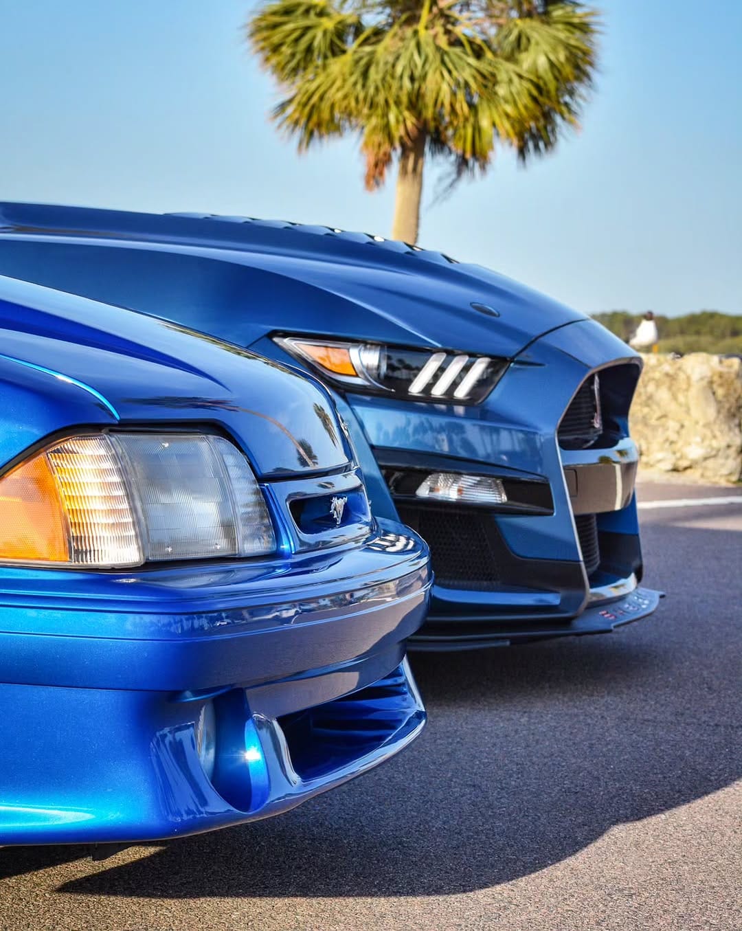 Post 3 by Blake McLane on Instagram (image)