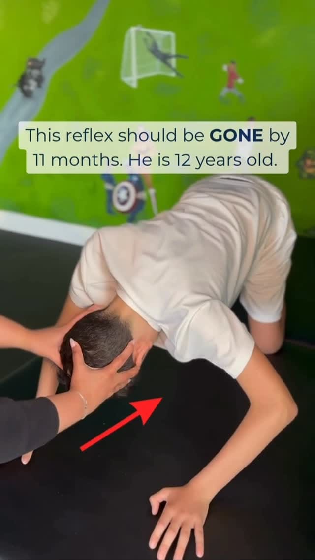 Post 5 by Vital Brain Institute on Instagram (video)