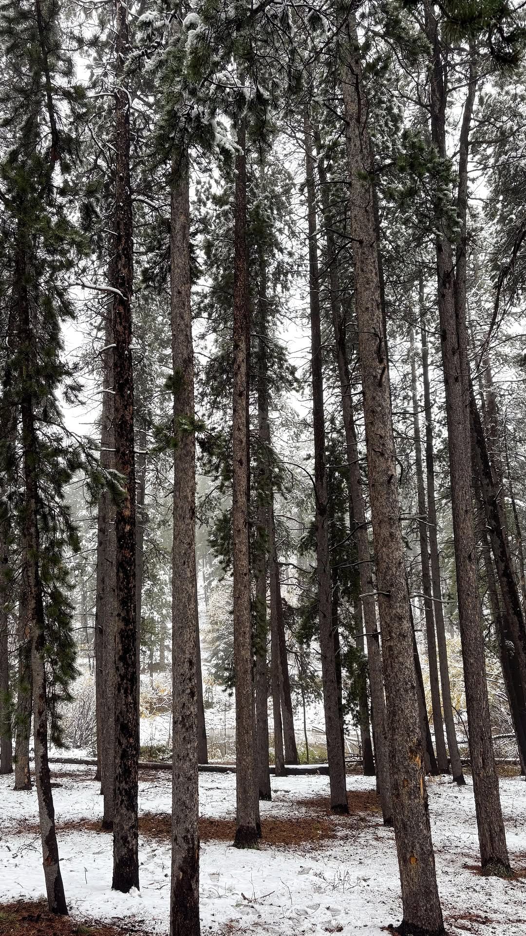 Post 3 by Karissa Hart on Instagram (video)