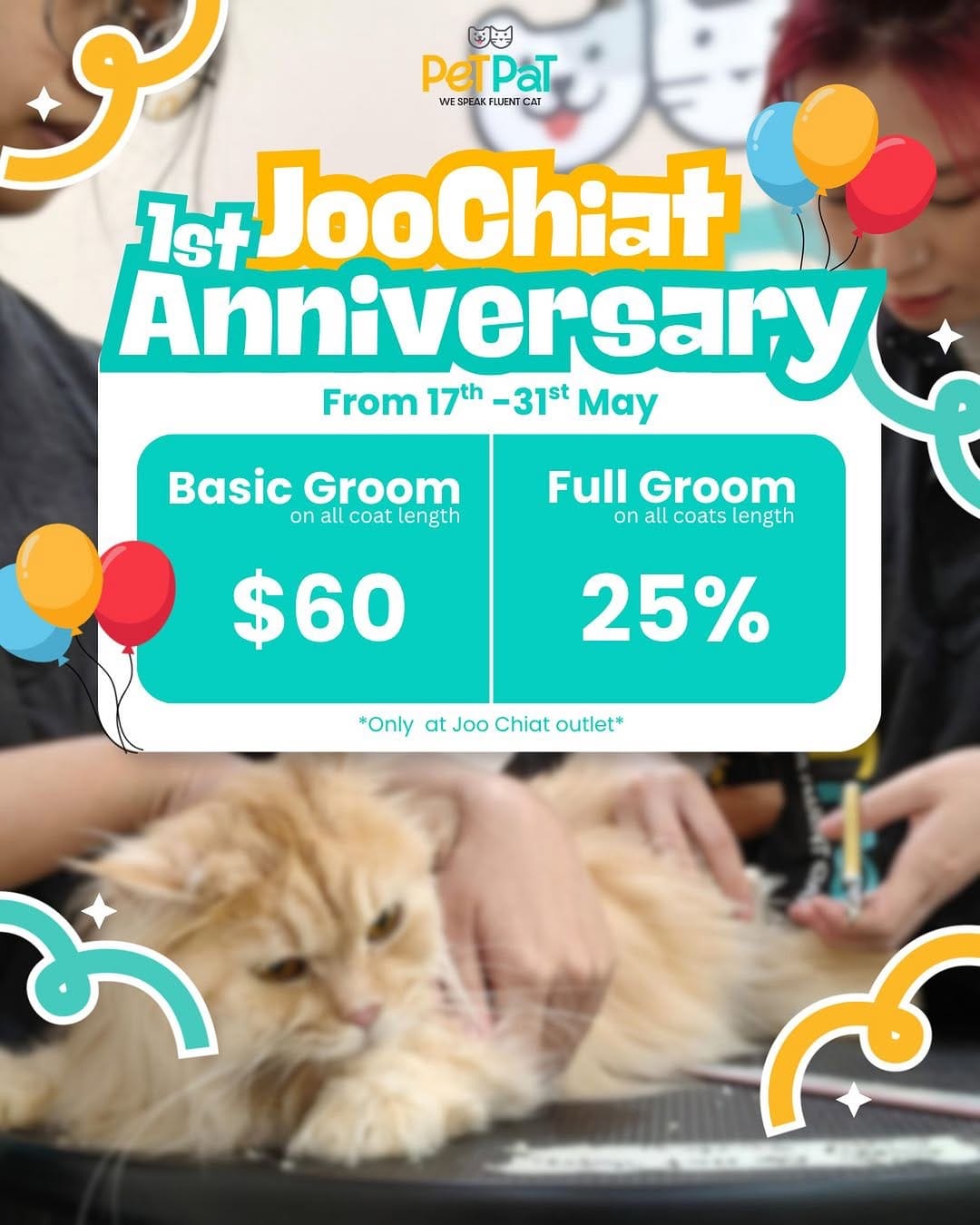 Post 8 by PetPat Gentle & Fear Free Cat Grooming Salon on Instagram (image)