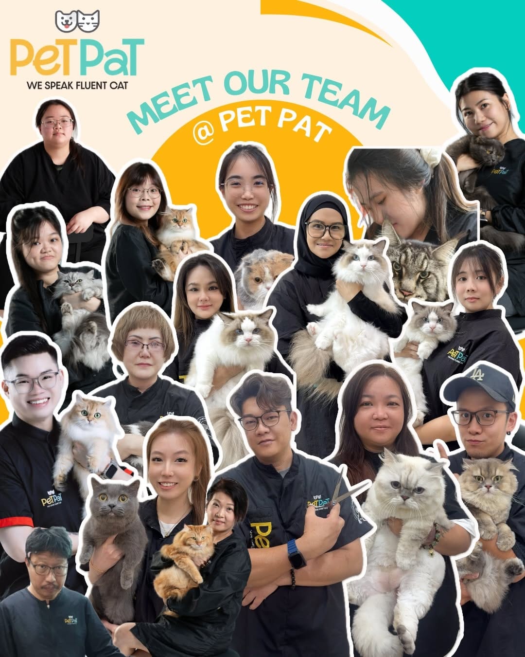 Post 10 by PetPat Gentle & Fear Free Cat Grooming Salon on Instagram (carousel)